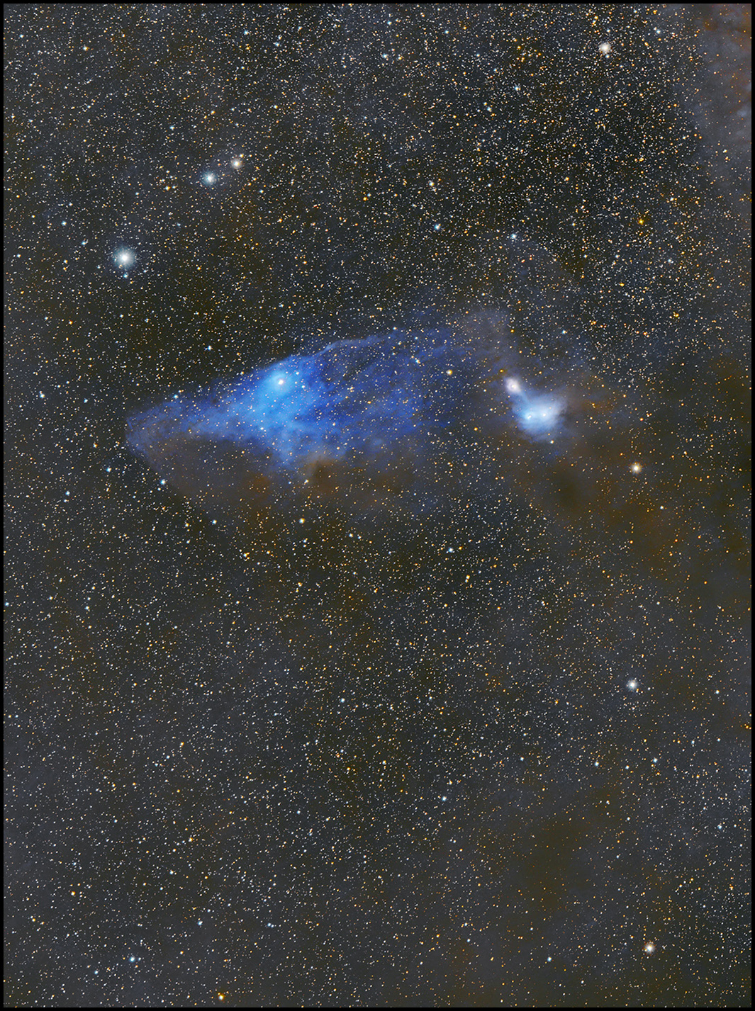 Blue Horsehead